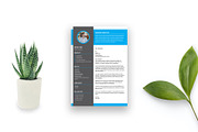Modern Resume Template / Words, AI, a Resume Template by Annudesign (Thumbnail 5 of 6)