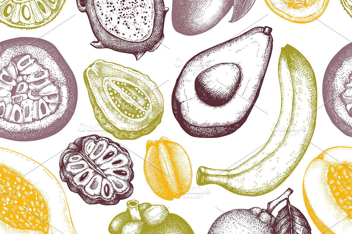 Vintage Tropical Fruit Sketches, a Food Illustration by Yevheniia (Photo 7 of 8)
