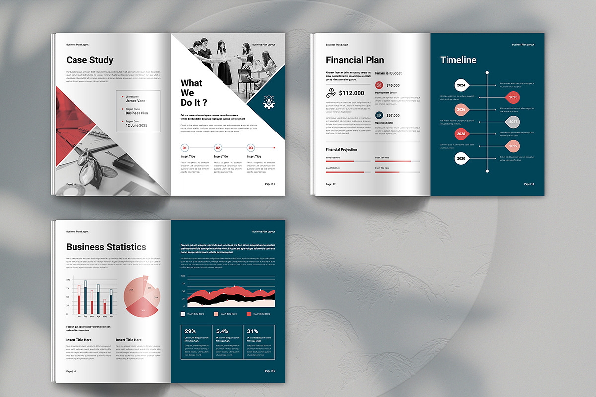 Business Plan Template | Brochure, a Brochure Template by Spark_Creative (Photo 11 of 12)