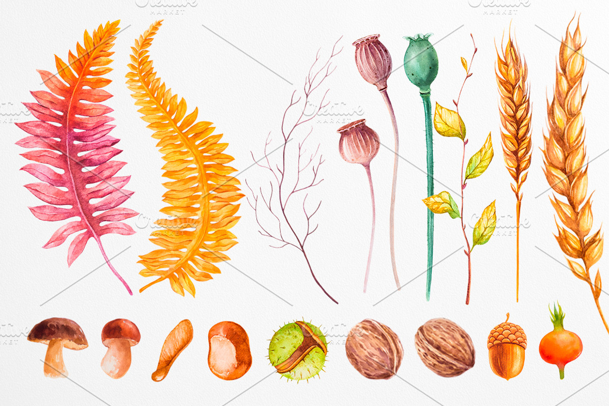 Fall collection. Watercolor., a Decorative Illustration by AlexGreenArt (Photo 7 of 11)