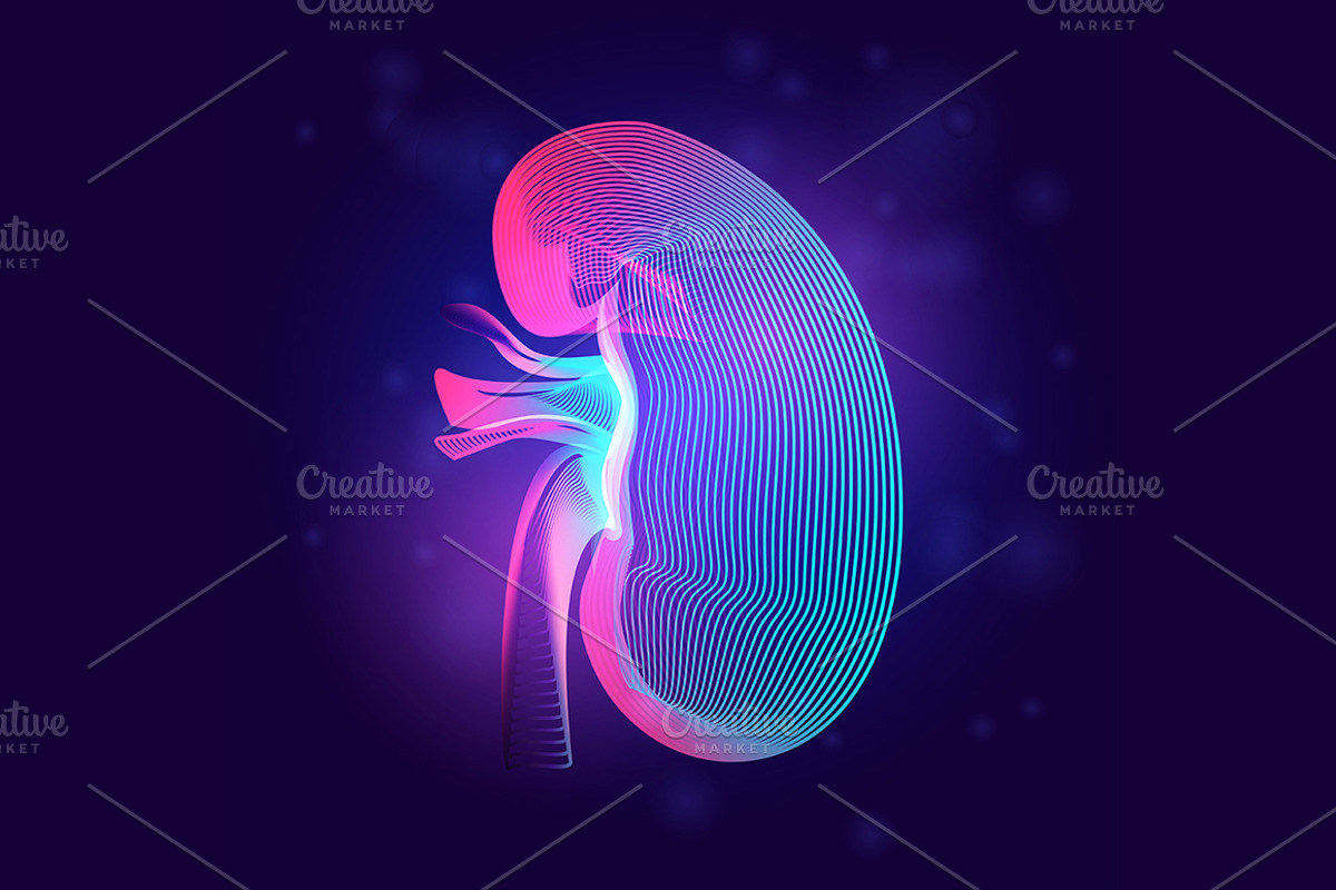 Vector set of human inner organs, a Healthcare Illustration by Rodionoff (Photo 5 of 7)