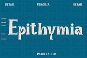Gragilia - Ancient Greek Font, a Serif Font by Pandeka Studio (Thumbnail 3 of 9)