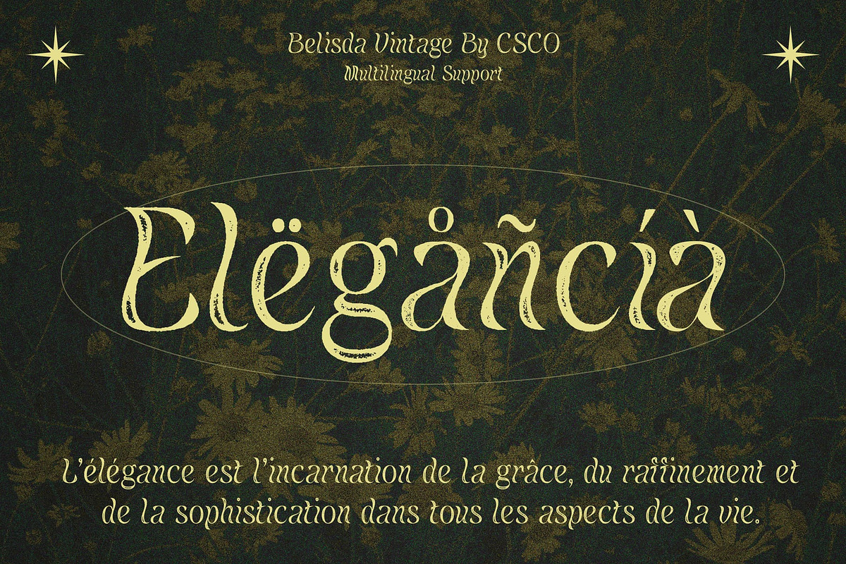 Belisda Vintage, a Sans Serif Font by Craft Supply Co. (Photo 2 of 8)