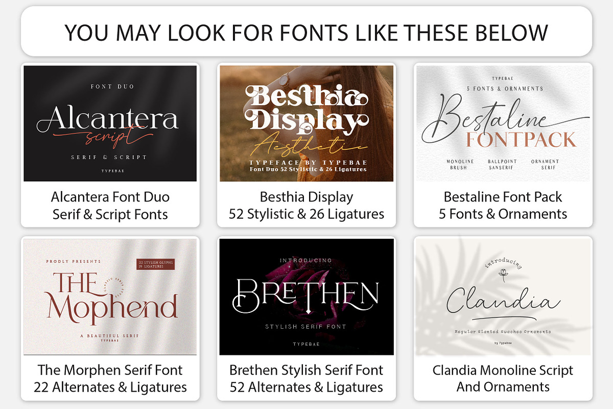 Clandia Monoline Script & Ornaments, a Script Font by Typebae (Photo 12 of 12)