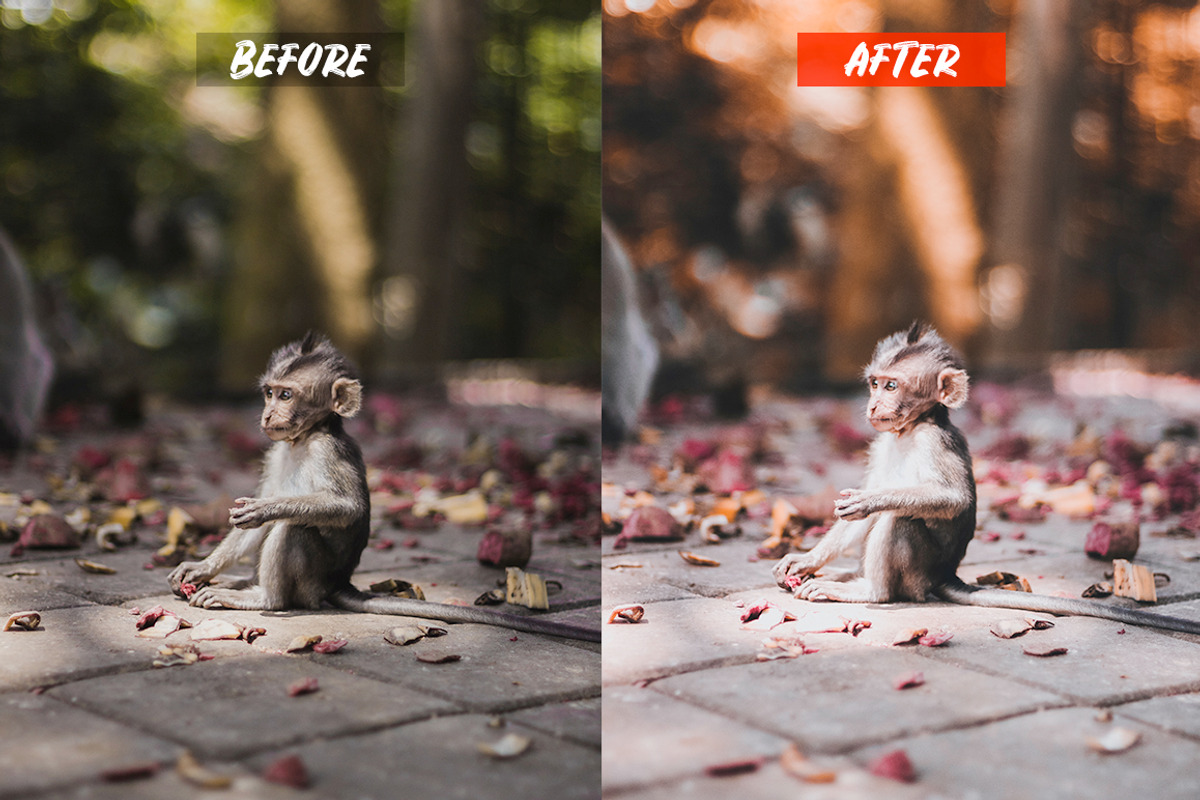 Bali Colors Lightroom Presets preview 5
