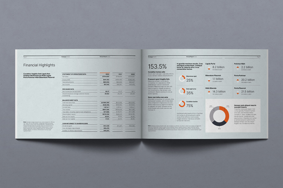 Kreatype Annual Report, a Brochure Template by Kreatype Studio (Photo 3 of 17)