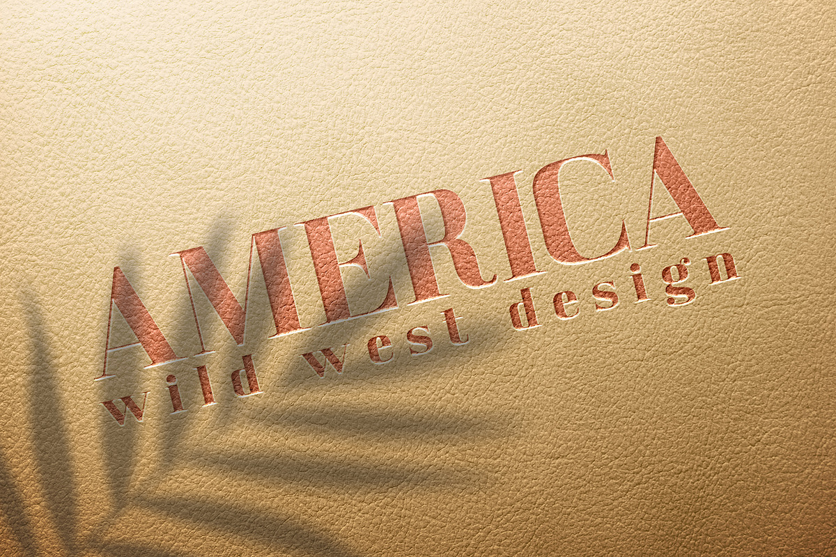 America Serif Font Family, a Serif Font by Anna Zakharchenko (Photo 13 of 13)