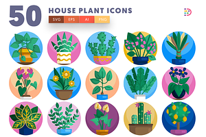 50 House Plant Icons