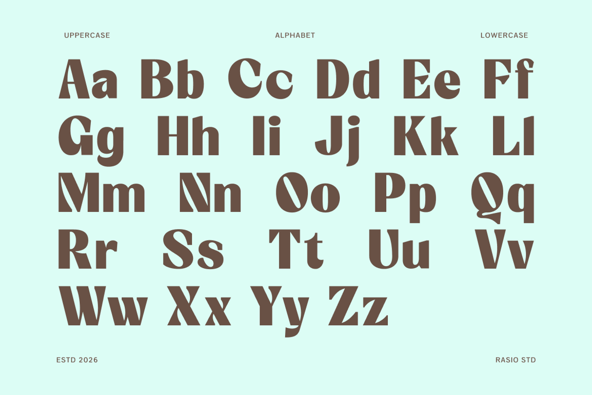 Candeur Modern Editorial Serif Font, a Serif Font by Rasio Studio (Photo 2 of 9)