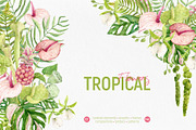 Tropical Flowers. Exotic flora set, an Illustration by Tata Pilip (Thumbnail 1 of 21)