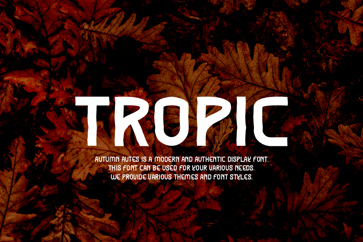 Autumn Autes - Tropical Font, a Sans Serif Font by Iqsiart Studio (Photo 2 of 6)