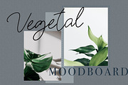 Jarful / Cyrillic & Latin Font, a Script Font by Katie Holland (Thumbnail 5 of 10)