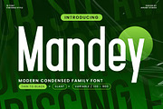 Mandey - Condensed Family Font, a Sans Serif Font by Afkari Studio (Thumbnail 1 of 9)