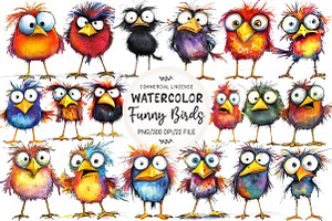Cute Quirky Funny Birds Clipart, an Illustration by OK Design