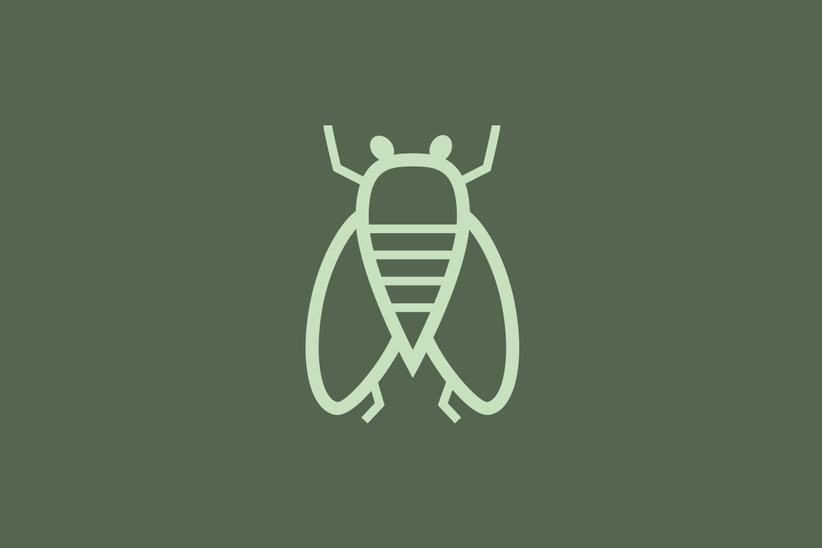 15 Insect Icons preview 3