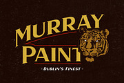 Haarlem Family | 3 in 1 Fonts, a Sans Serif Font by Twicolabs Fontdation (Thumbnail 4 of 12)