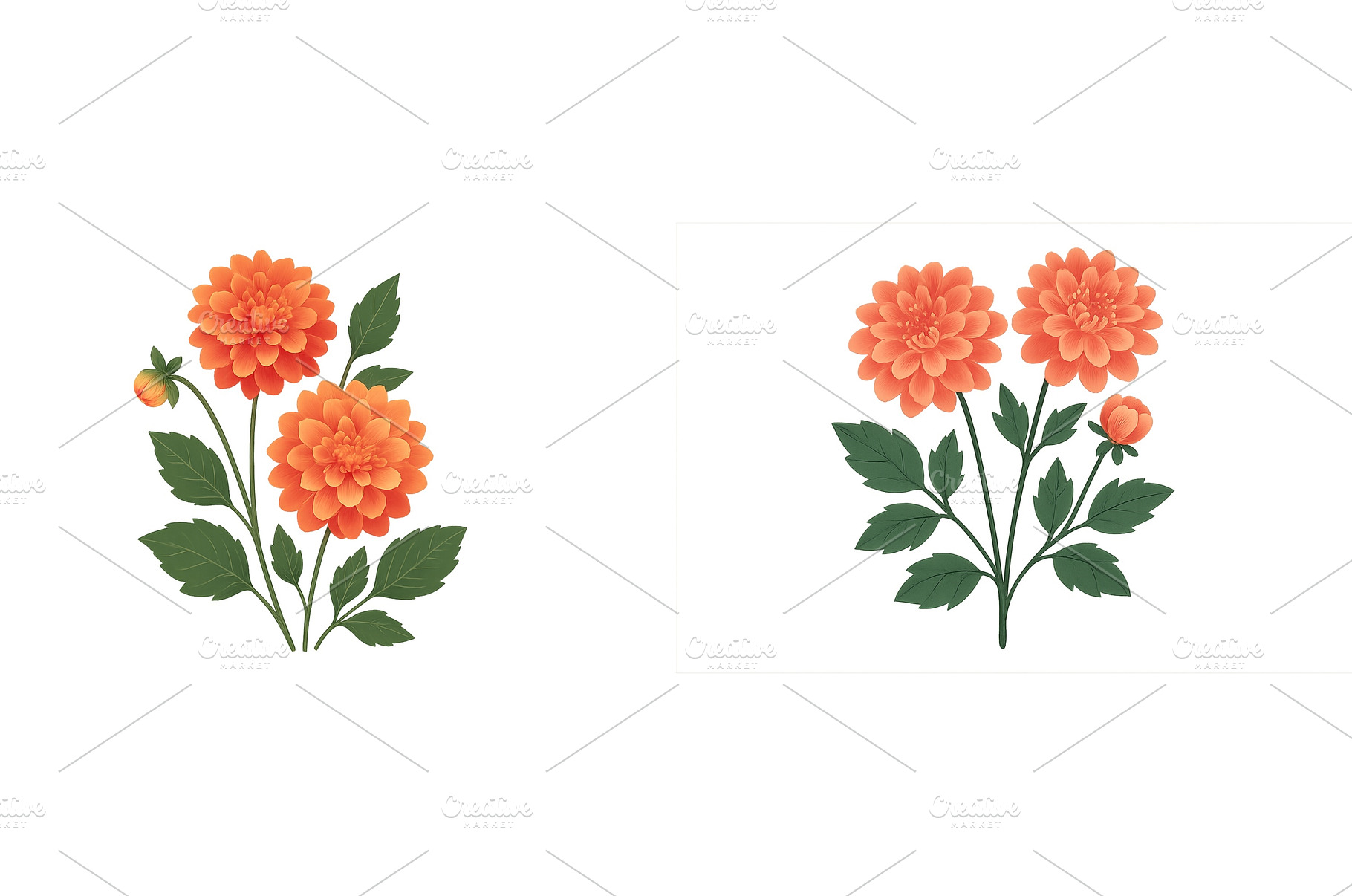 Vibrant dahlia flowers in shades of, a Nature Photo by ZinetroN