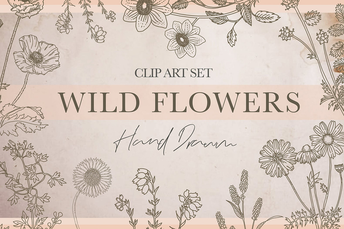 Botanical Clip Art Wild Flowers PNG, an Illustration by MakeMyPlaceDesign (Photo 1 of 3)