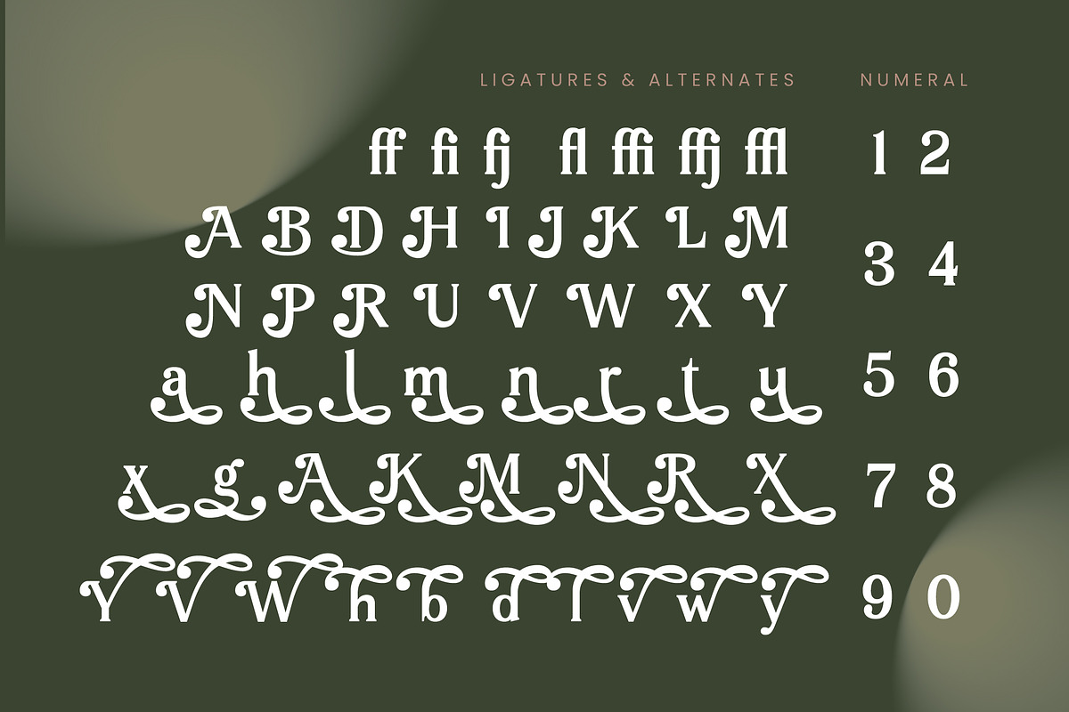 Arguys Regret Display Serif Font, a Serif Font by timelesstype.co (Photo 18 of 20)