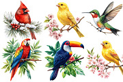 Birds on Branch Clipart Bundle, an Illustration by Designworld (Thumbnail 3 of 4)