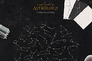 Encyclopedia of Astrology, an Animal Illustration by Julia Dreams (Thumbnail 8 of 14)
