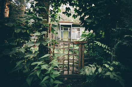 Wooden gate to a summer house, an Architecture Photo by SkyNext