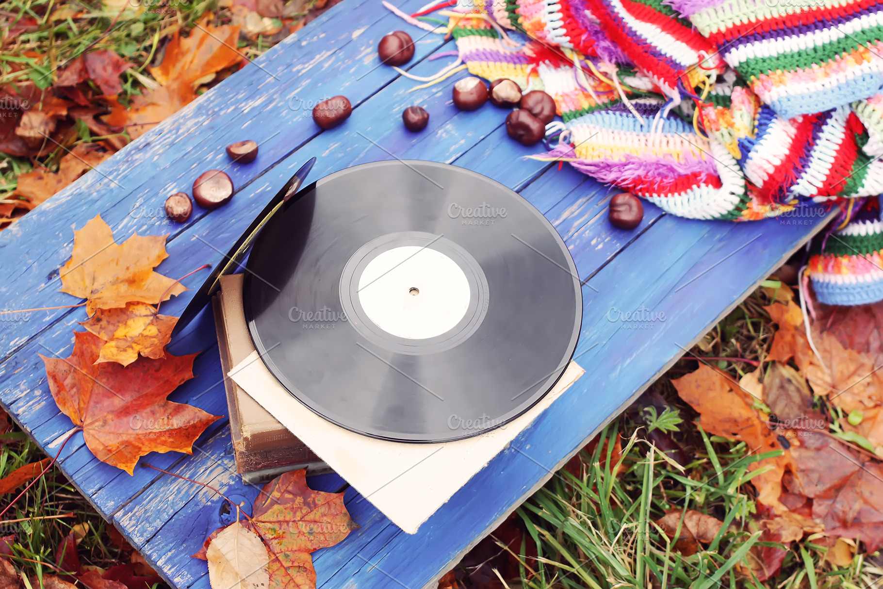 Vintage vinyl records in autumn park, an Arts & Entertainment Photo by pictures for you