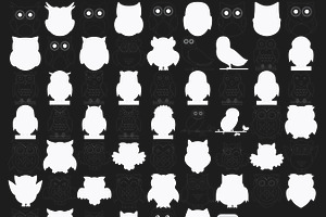 Cartoon Owl Set 2 Procreate Brush