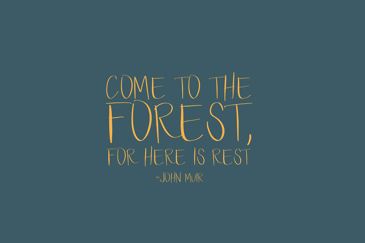 Walk in the Woods Open Type SVG, a Handwritten Font by Jodi Van der Kruik (Photo 2 of 5)