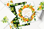 Tangerine Watercolor Collection, a Wallpaper Graphic by Natasha Koltsova (Thumbnail 4 of 7)