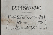 Adigul | Modern Serif, a Serif Font by Denustudios (Thumbnail 11 of 13)