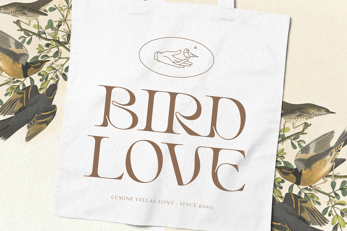 Lumine Vellas - Modern Serif, a Serif Font by LoneArmy (Photo 8 of 12)