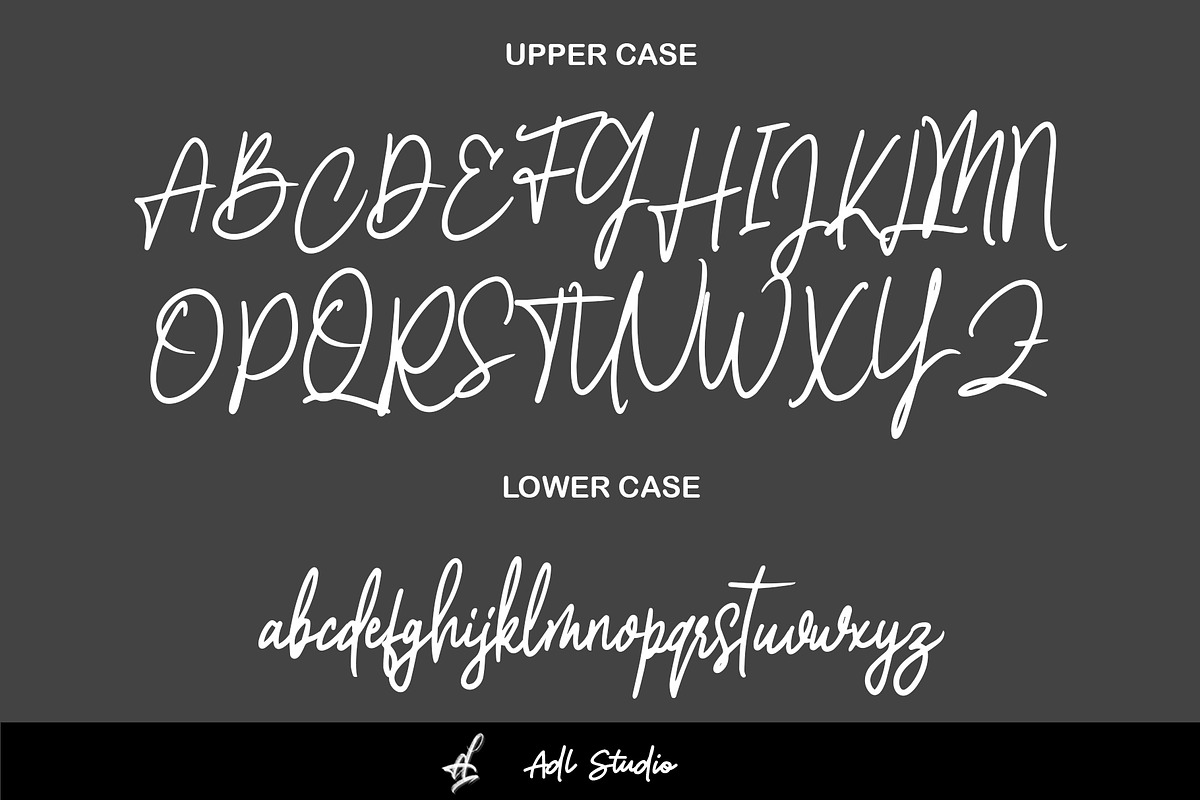 Sleeds, a Script Font by Adl Studio (Photo 3 of 4)