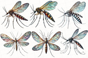 Watercolor Mosquitoes Clipart, an Illustration by OK Design (Thumbnail 5 of 5)