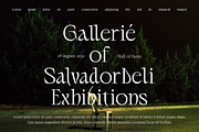Lamonela - Serif Display Font, a Serif Font by Typetemp Studio (Thumbnail 8 of 21)