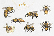 Honey bees, an Illustration by Onceli*art (Thumbnail 2 of 7)