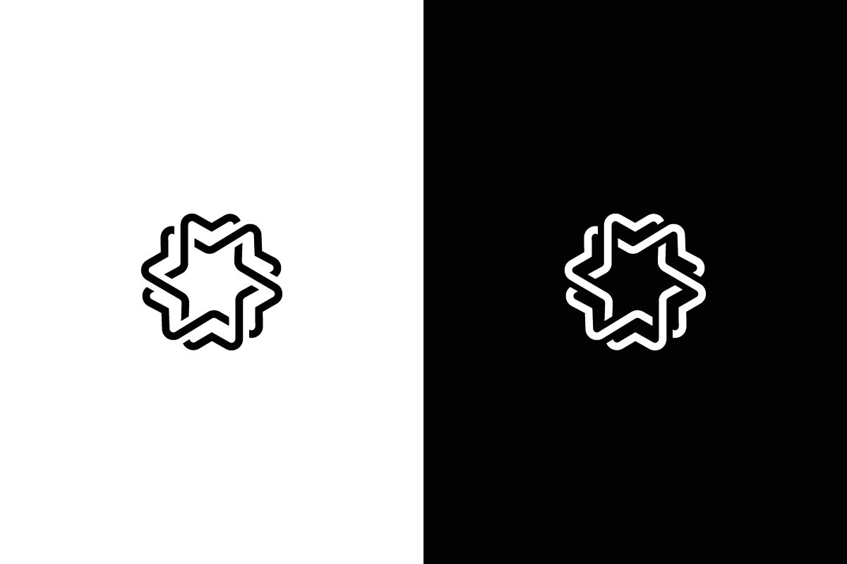 Modern Geometric Star Logo Design, a Branding & Logo Template by arhabib (Photo 9 of 11)