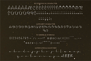 Celinara Haveen, a Handwritten Font by Indotype Foundry (Thumbnail 5 of 10)