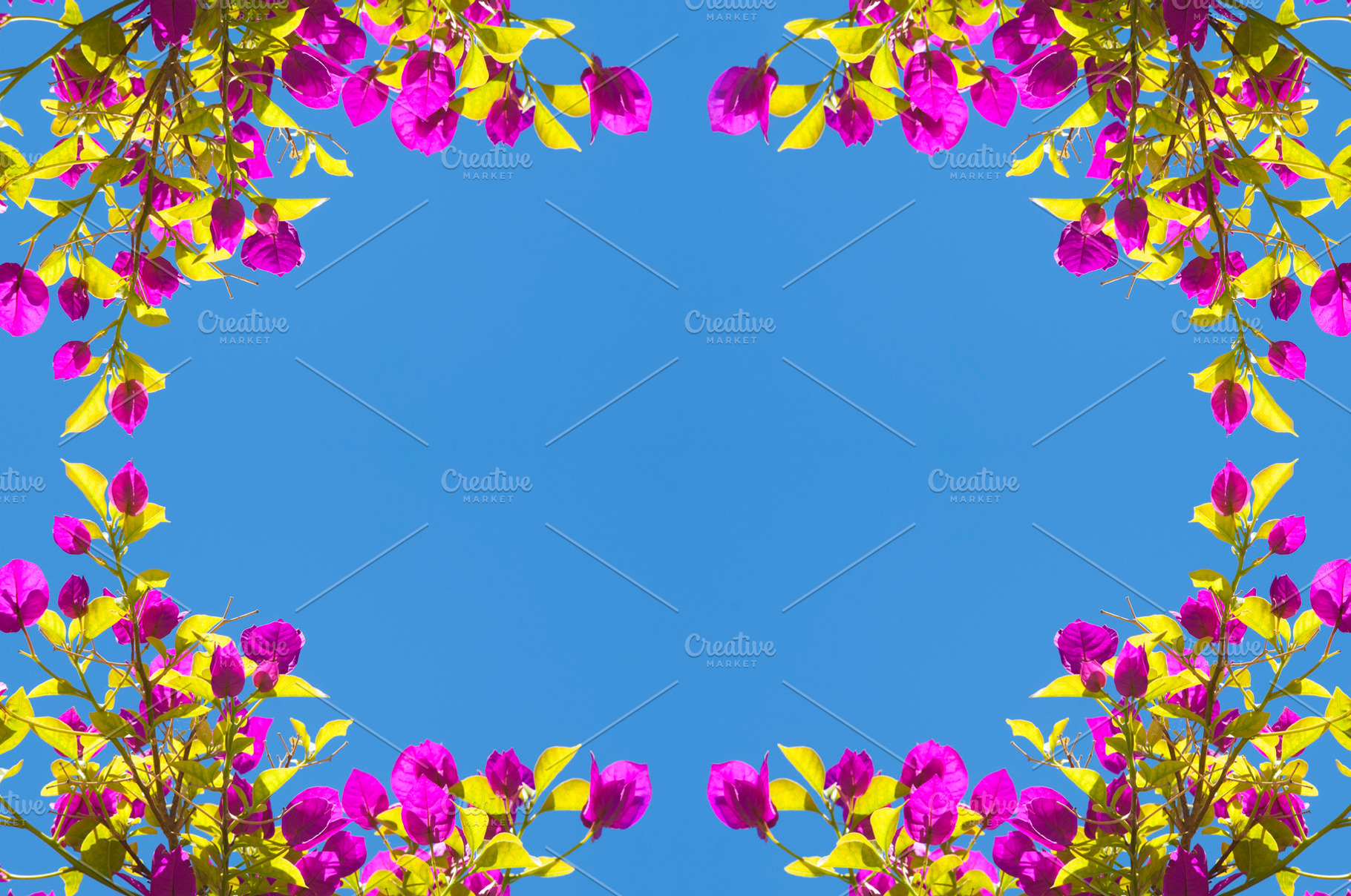 Spring Flower Frame Background, a Background Photo by THP Creative