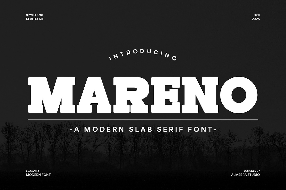 Mareno - A Modern Slab Serif Font, a Serif Font by Almeera Std (Photo 1 of 10)