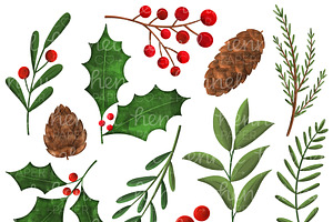 Holiday Foliage Watercolor Clipart