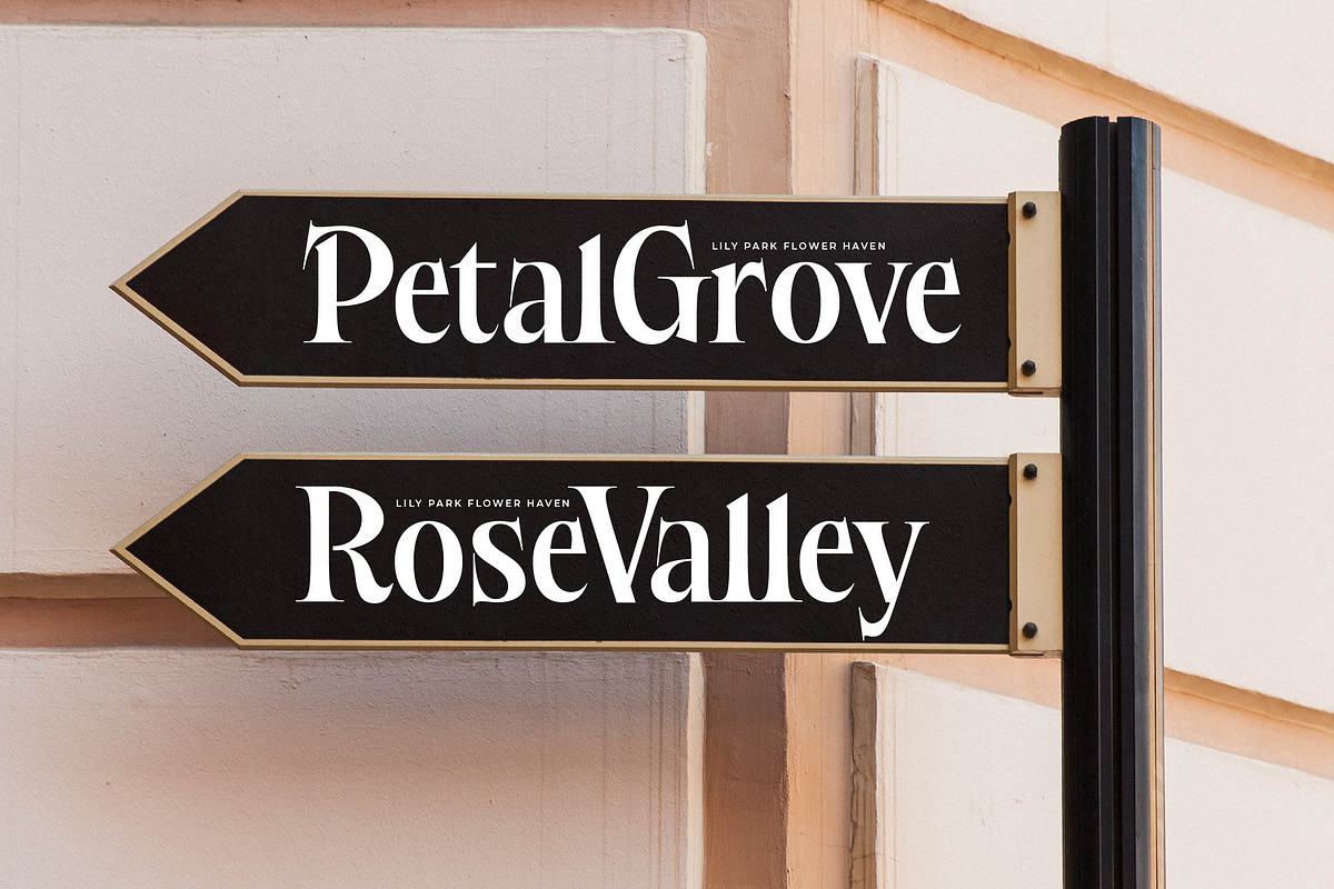 Besteza Modern Serif Display, a Font by timelesstype.co (Photo 14 of 19)