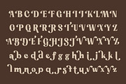 Bring Vacation – Decorative Serif, a Serif Font by Lettertype Studio (Thumbnail 12 of 14)