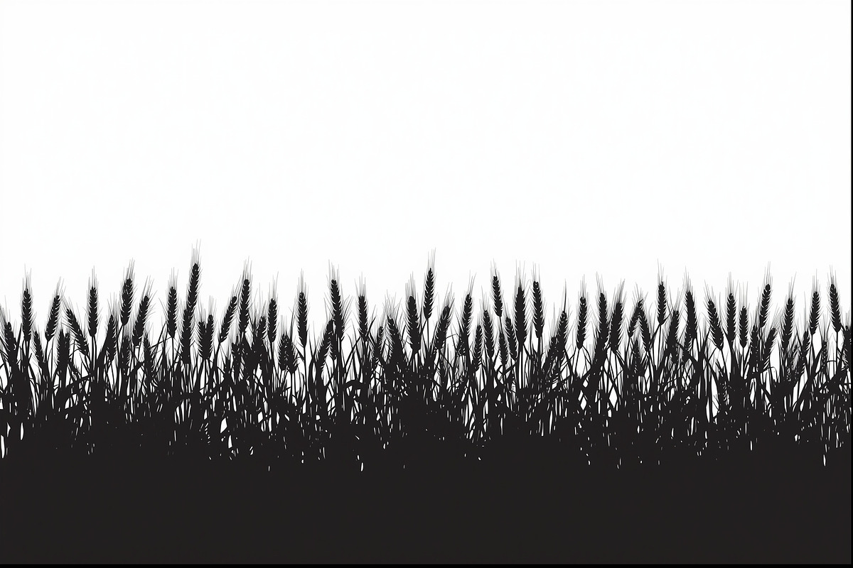 Harvest Wheat Border Designs, an Illustration by Creativeshirt (Photo 5 of 9)