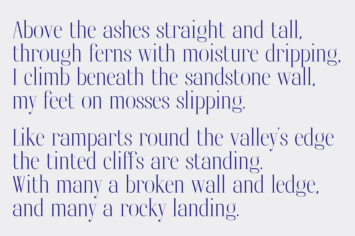 Katoomba, a Serif Font by Dennis Hotson (Photo 4 of 5)