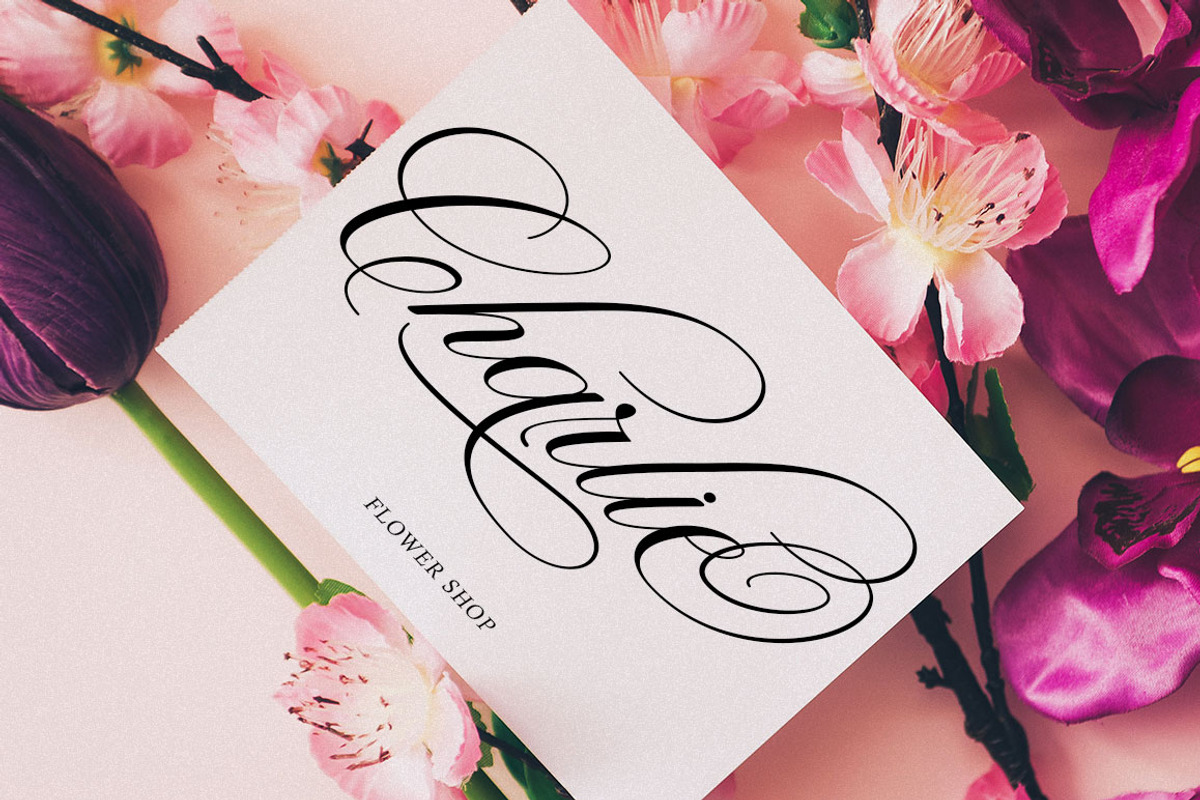 Wonderful Script, a Script Font by Has_rizal (Photo 8 of 10)
