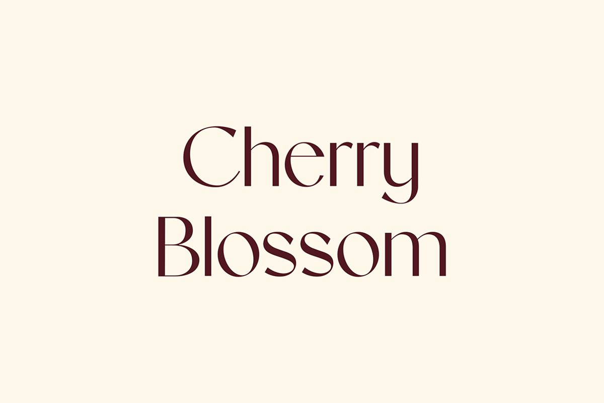 Aphrodite Elegant Sans Serif Font, a Font by UICreative (Photo 11 of 12)