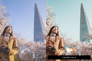 50 Sakura Lightroom Presets and LUTs, a Preset Add-On by SparkleStock (Thumbnail 3 of 10)