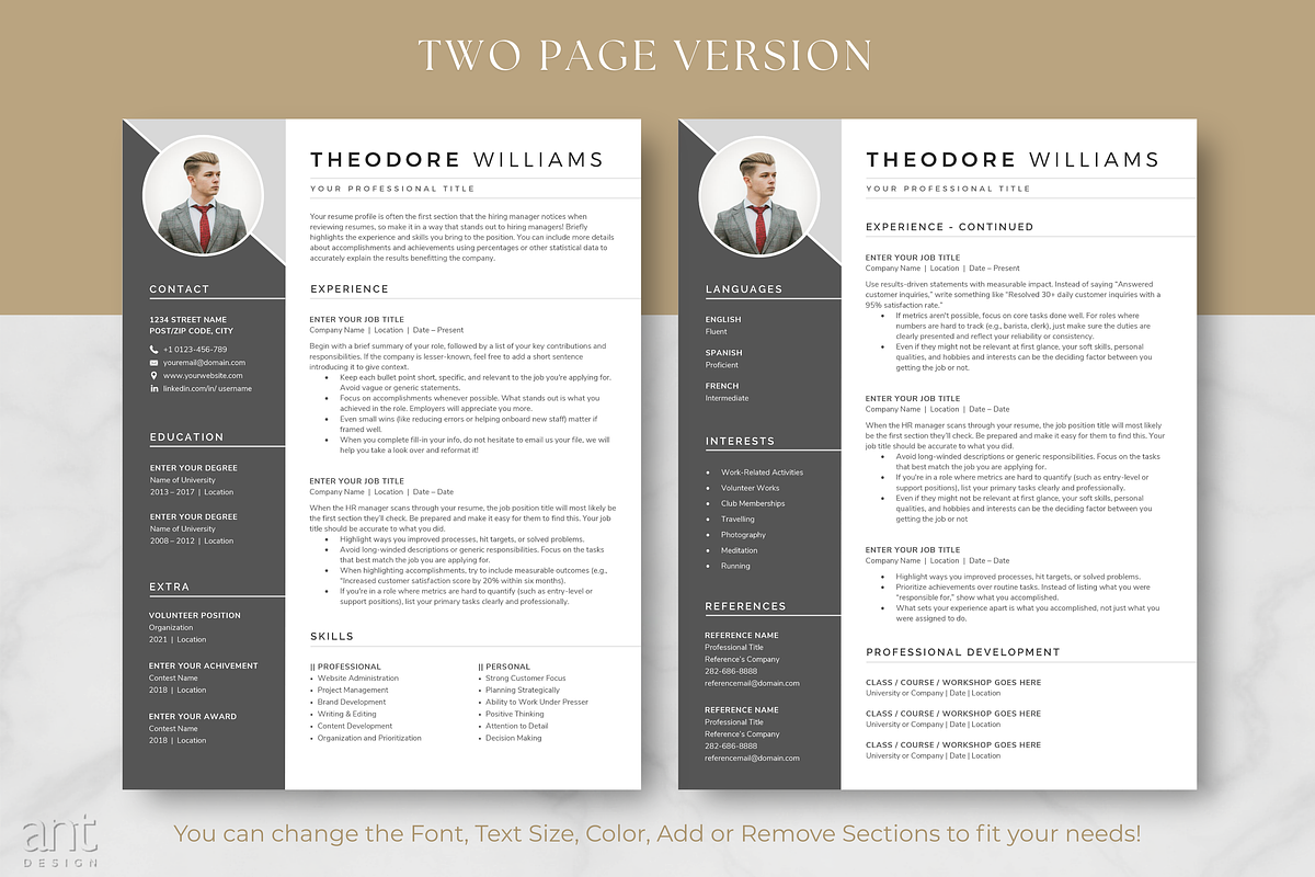 Modern Resume Template - Theodore preview 5
