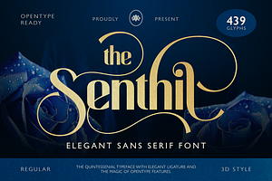 Senthil, a Sans Serif Font by Burntilldead